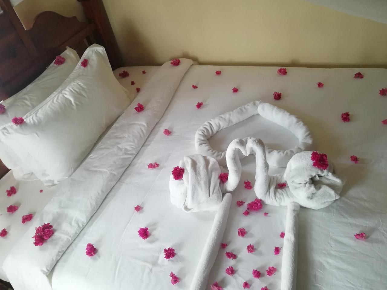 Red Sun Hotel Zanzibar
